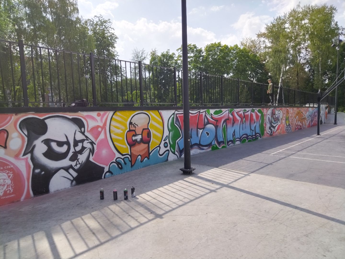 Мытищи, Скейт-парк, Вова Соннин, граффити, стрит-арт