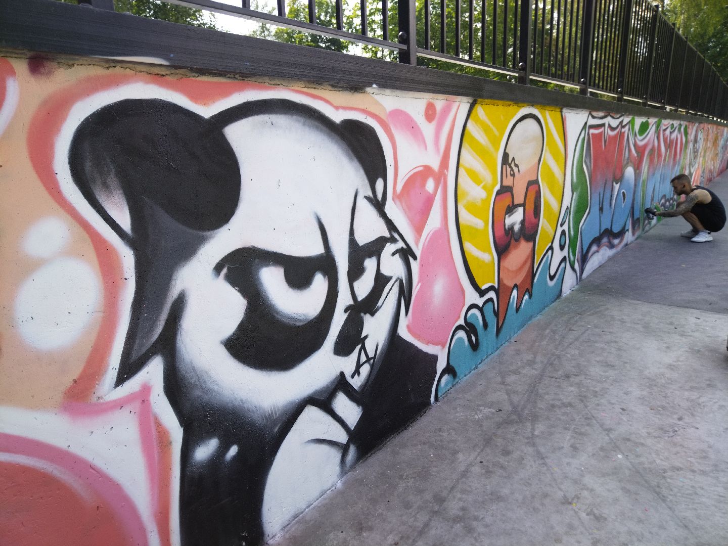 Мытищи, Скейт-парк, Вова Соннин, граффити, стрит-арт