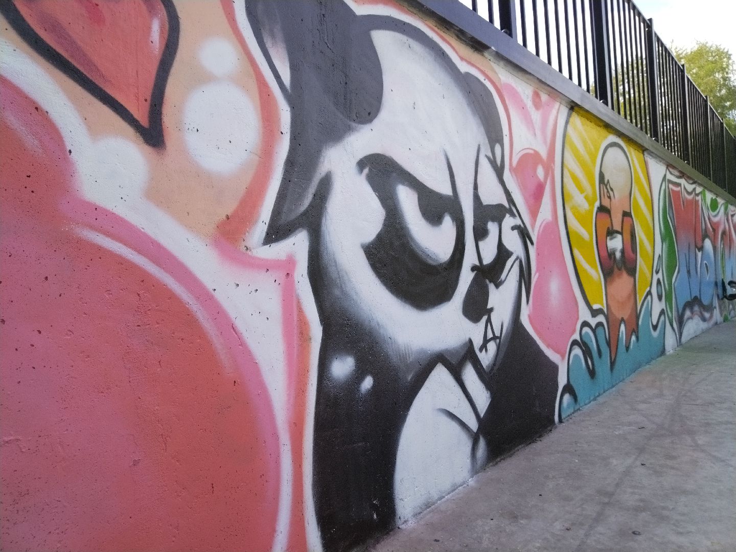 Мытищи, Скейт-парк, Вова Соннин, граффити, стрит-арт