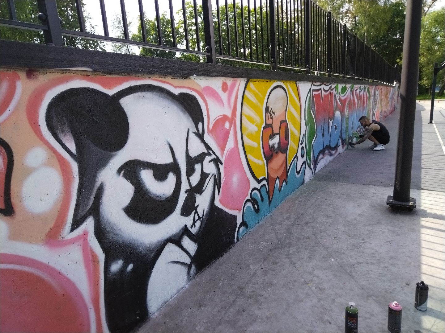 Мытищи, Скейт-парк, Вова Соннин, граффити, стрит-арт