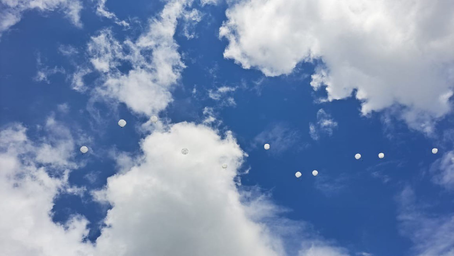 Чехов, ВДВ, аэроклуб ДОСААФ, Волосово, парашют