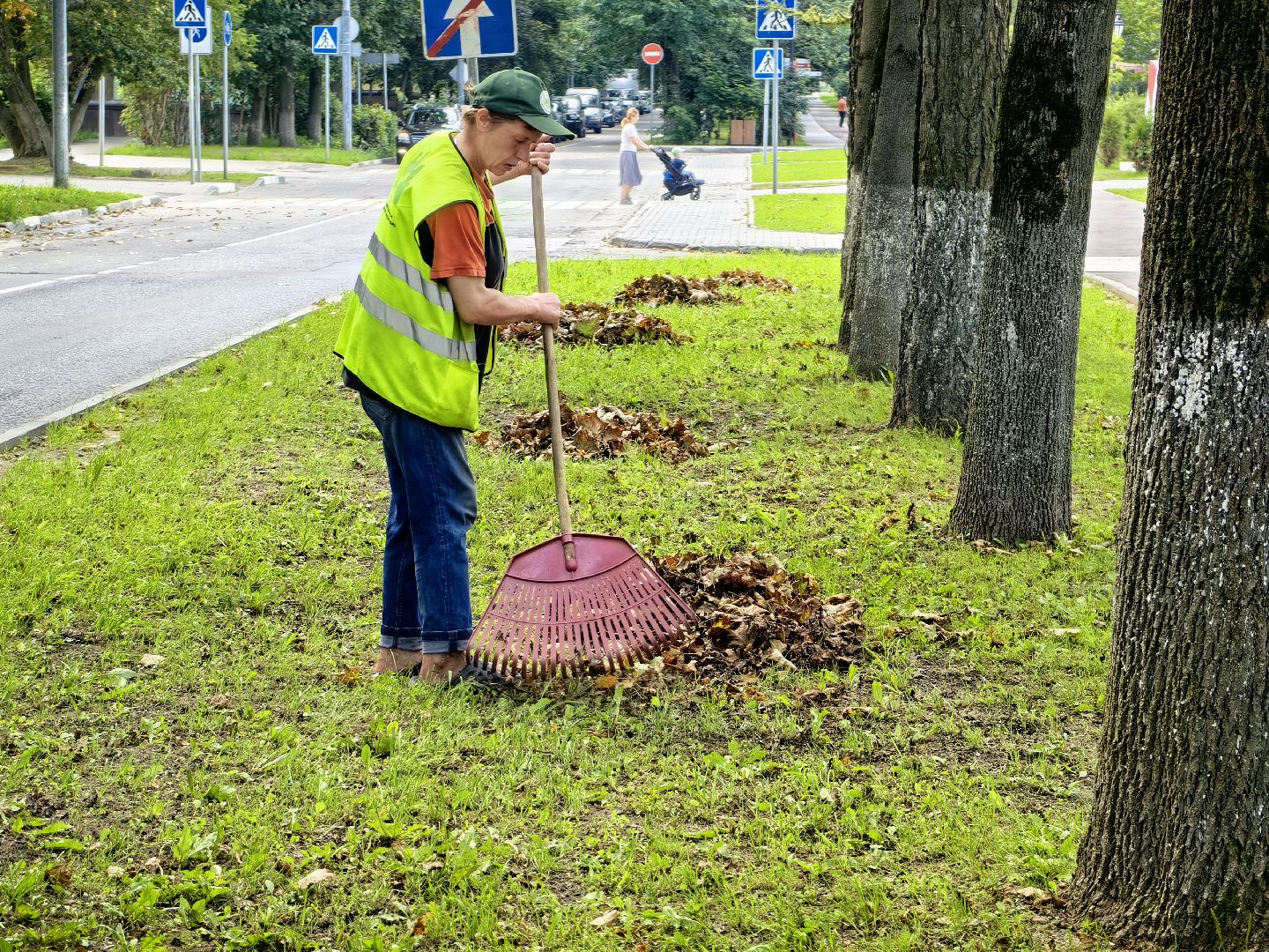 Уборка, газон, трава, улица, листва