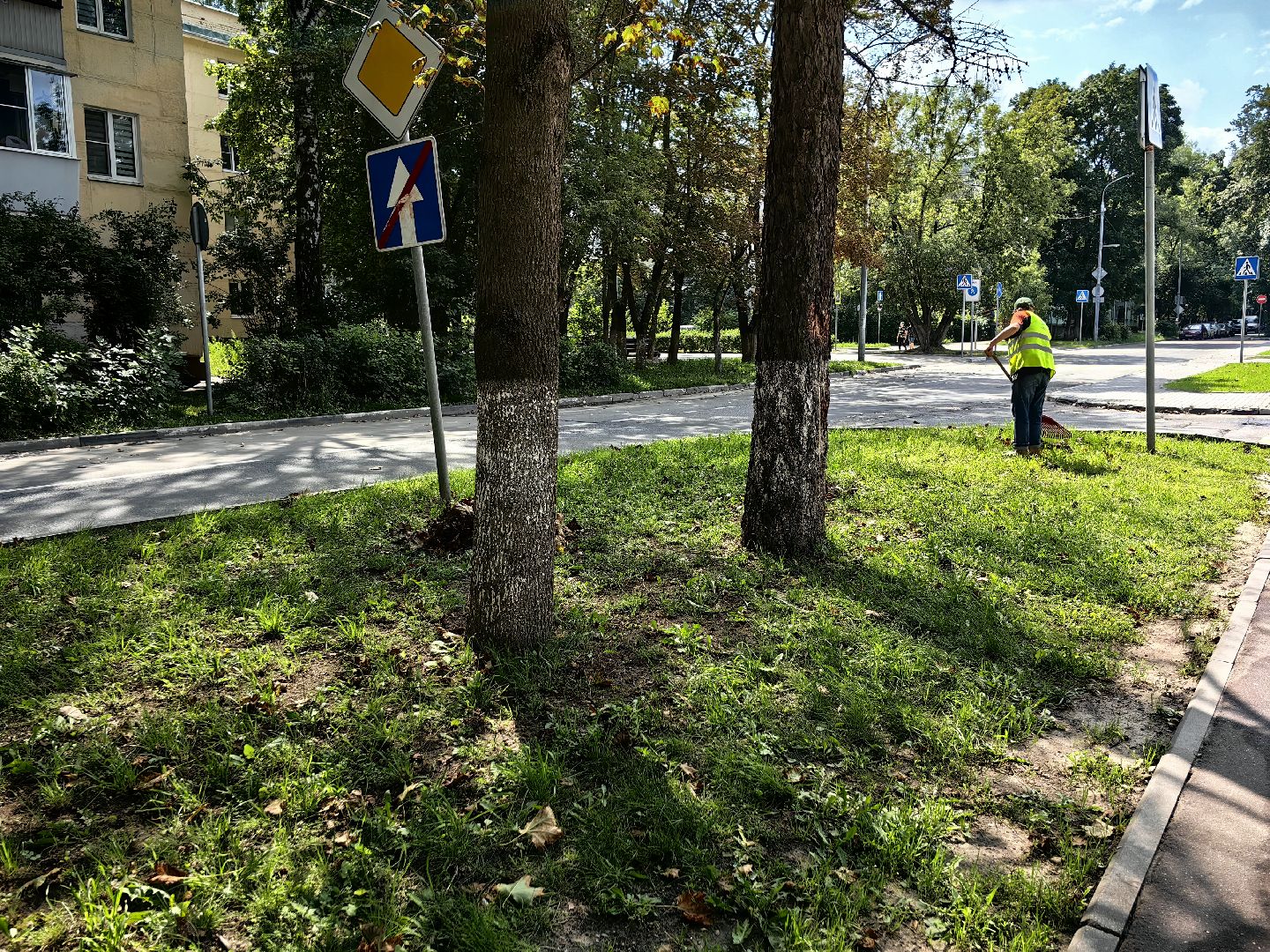 Уборка, газон, трава, улица, листва