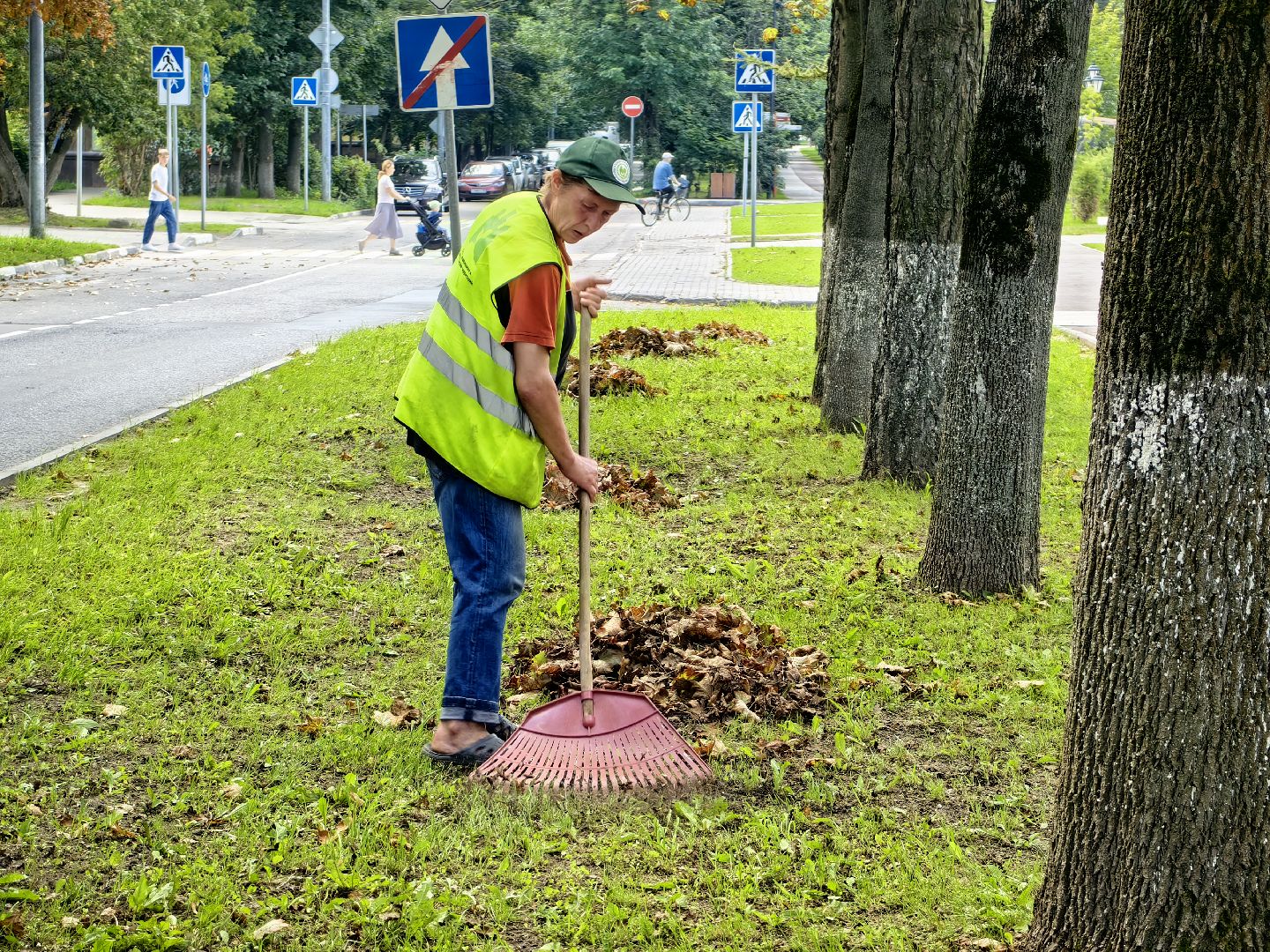Уборка, газон, трава, улица, листва