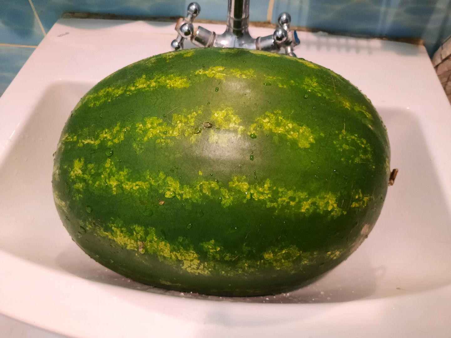 День Арбуза, #день_арбуза, городской округ Шатура, Шатура, рынок, арбуз, бахча