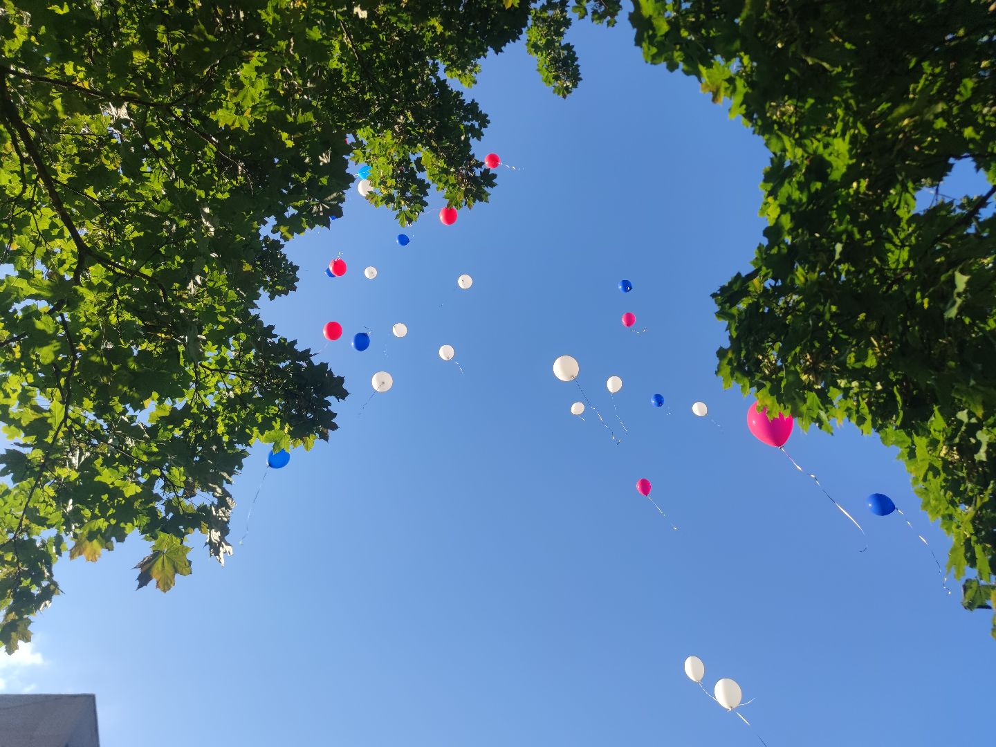 День ВДВ, праздник, дети, Дубна