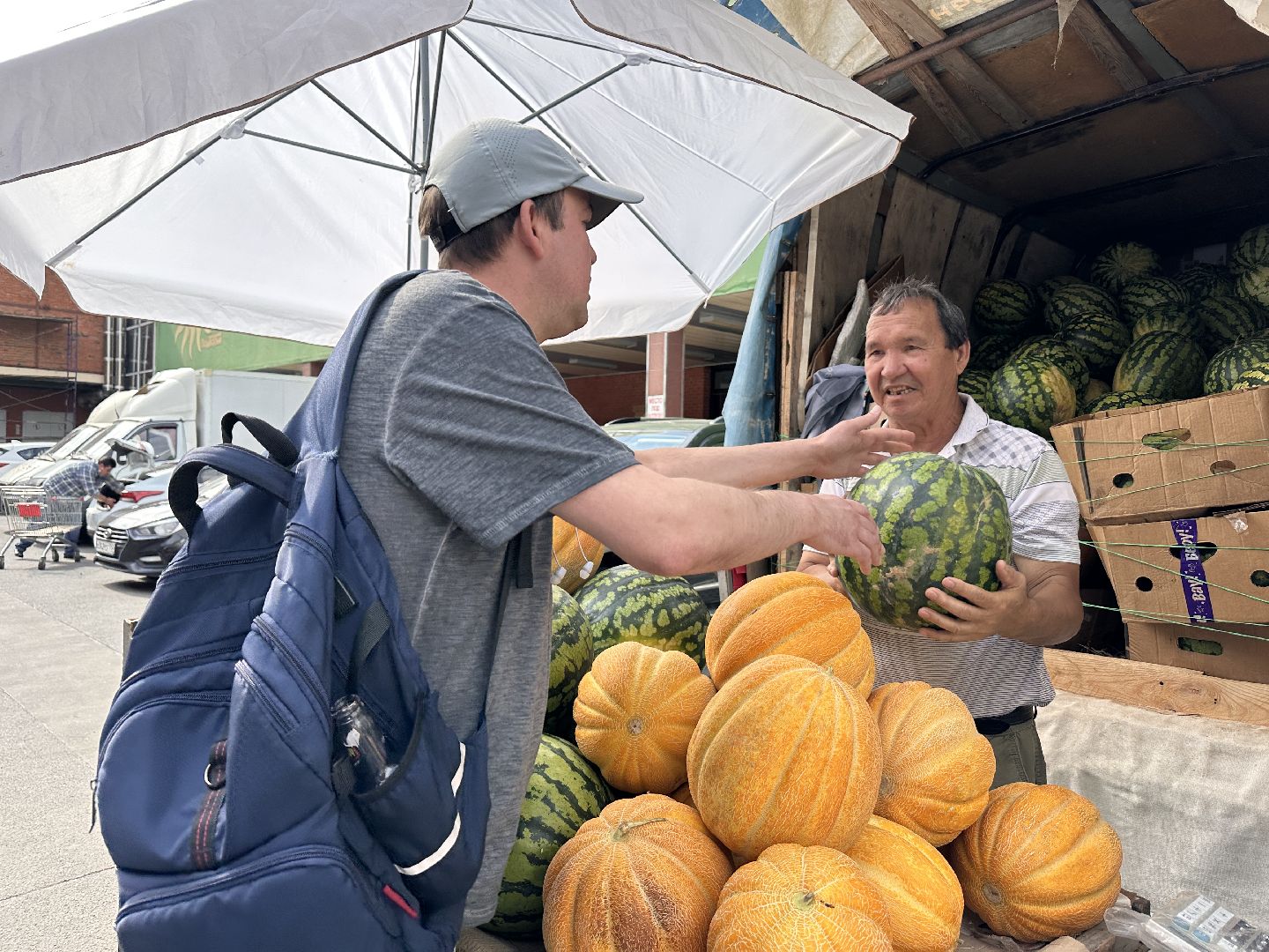 Одинцово, астрахань, Арбузы, Сельское хозяйство