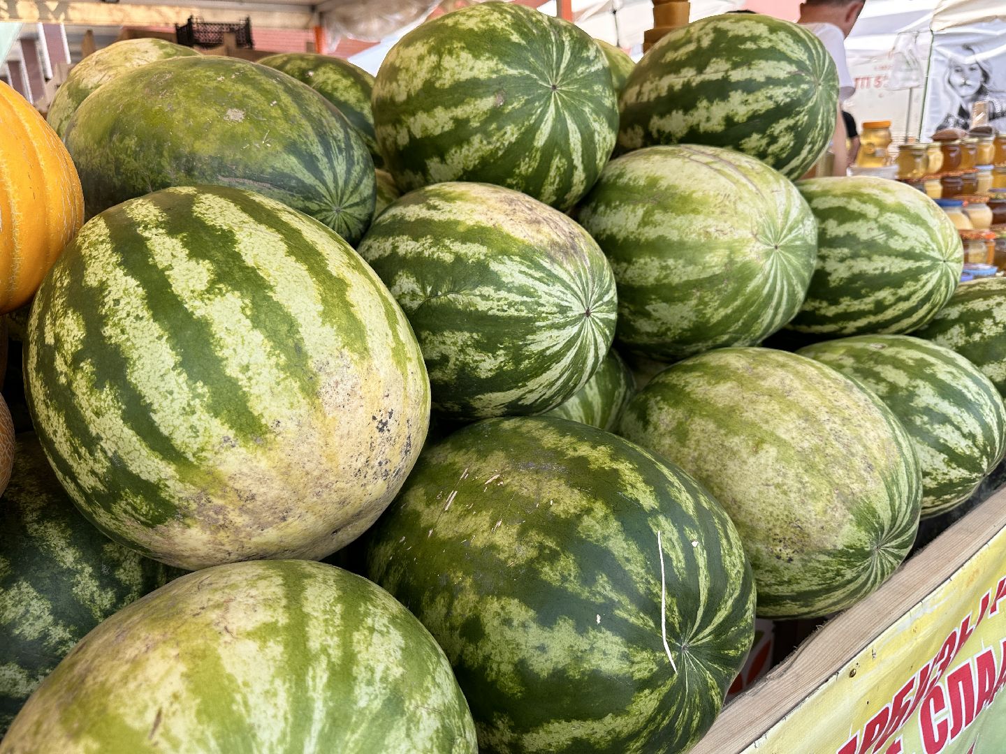 Одинцово, астрахань, Арбузы, Сельское хозяйство