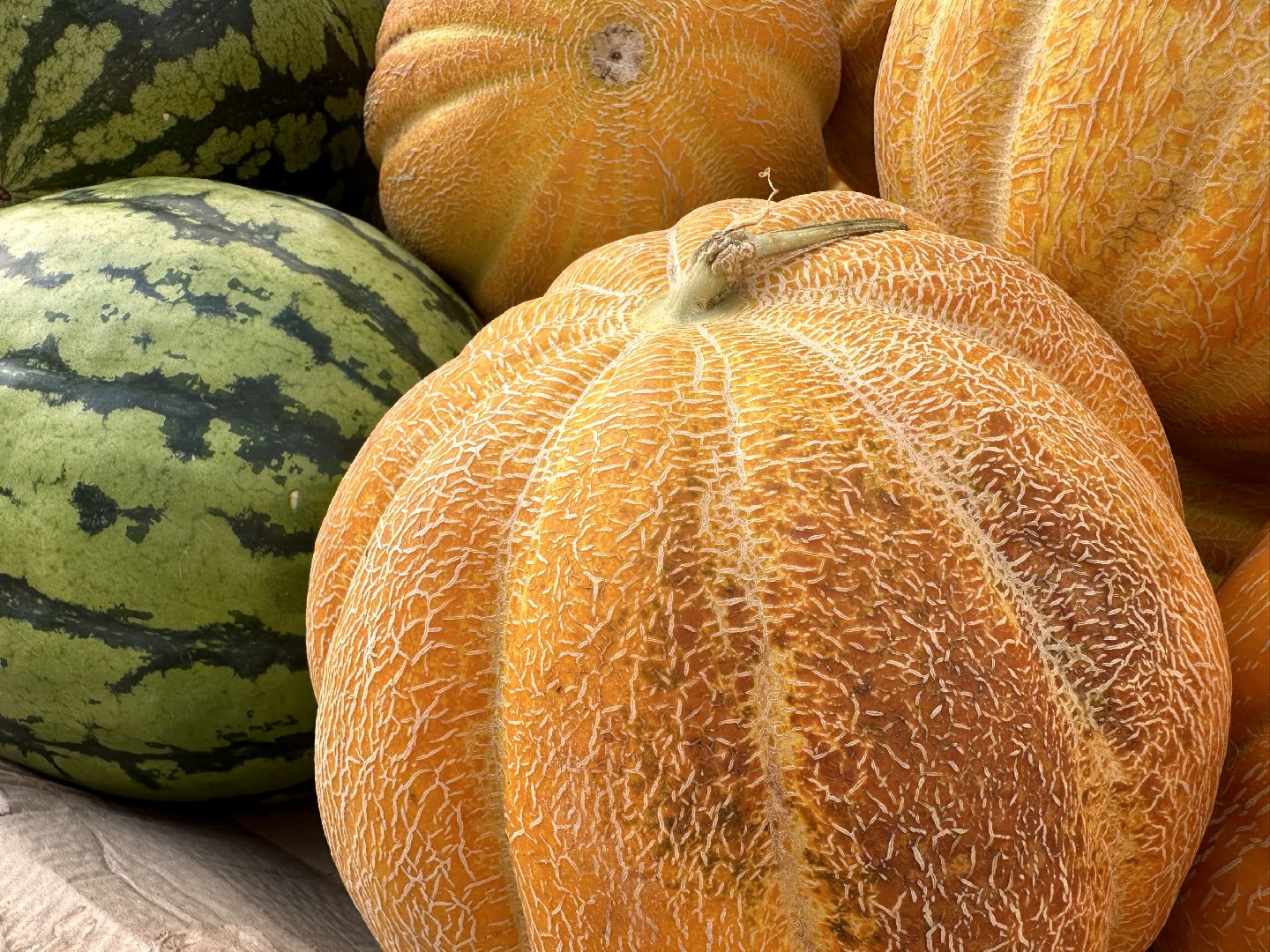 Одинцово, астрахань, Арбузы, Сельское хозяйство