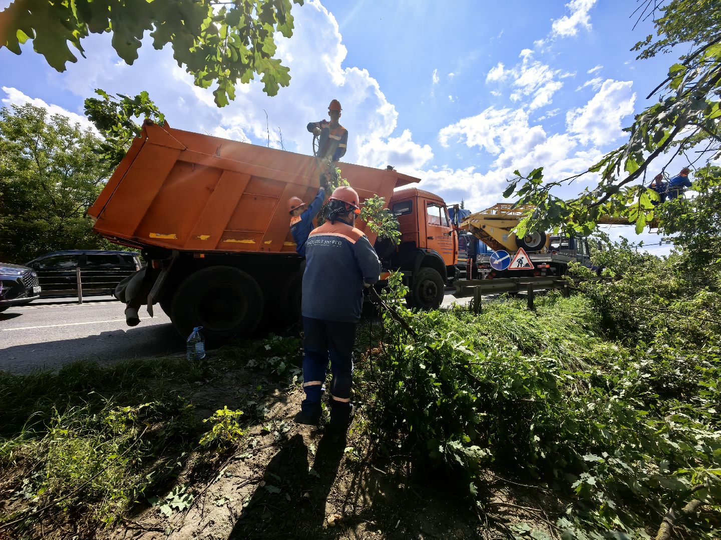 Автовышка, арборист, деревья, спил, дорога