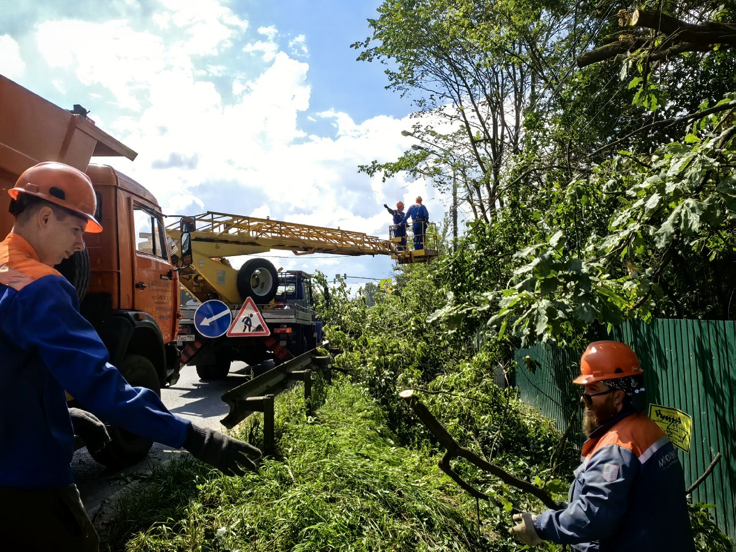 Автовышка, арборист, деревья, спил, дорога