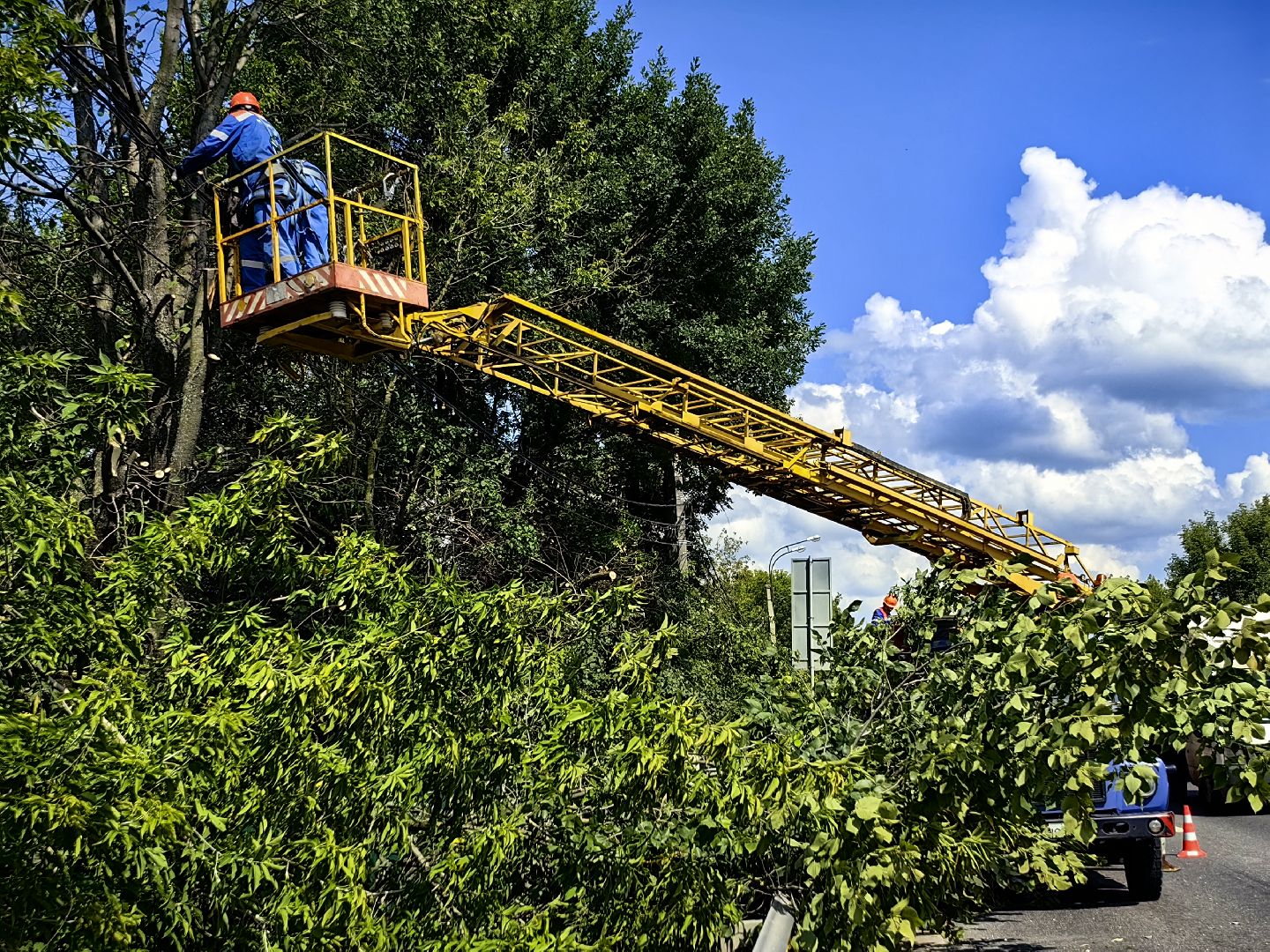 Автовышка, арборист, деревья, спил, дорога
