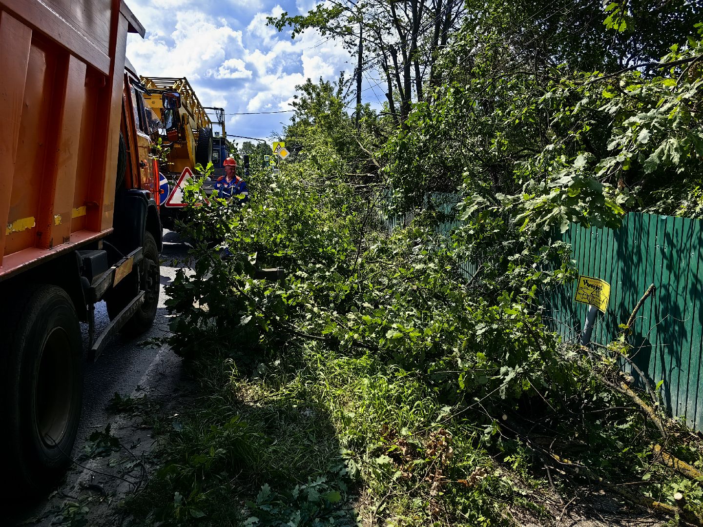 Автовышка, арборист, деревья, спил, дорога