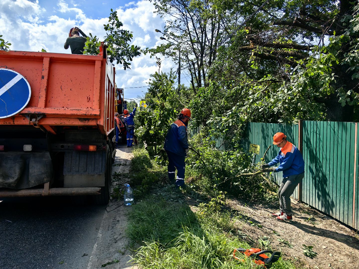 Автовышка, арборист, деревья, спил, дорога
