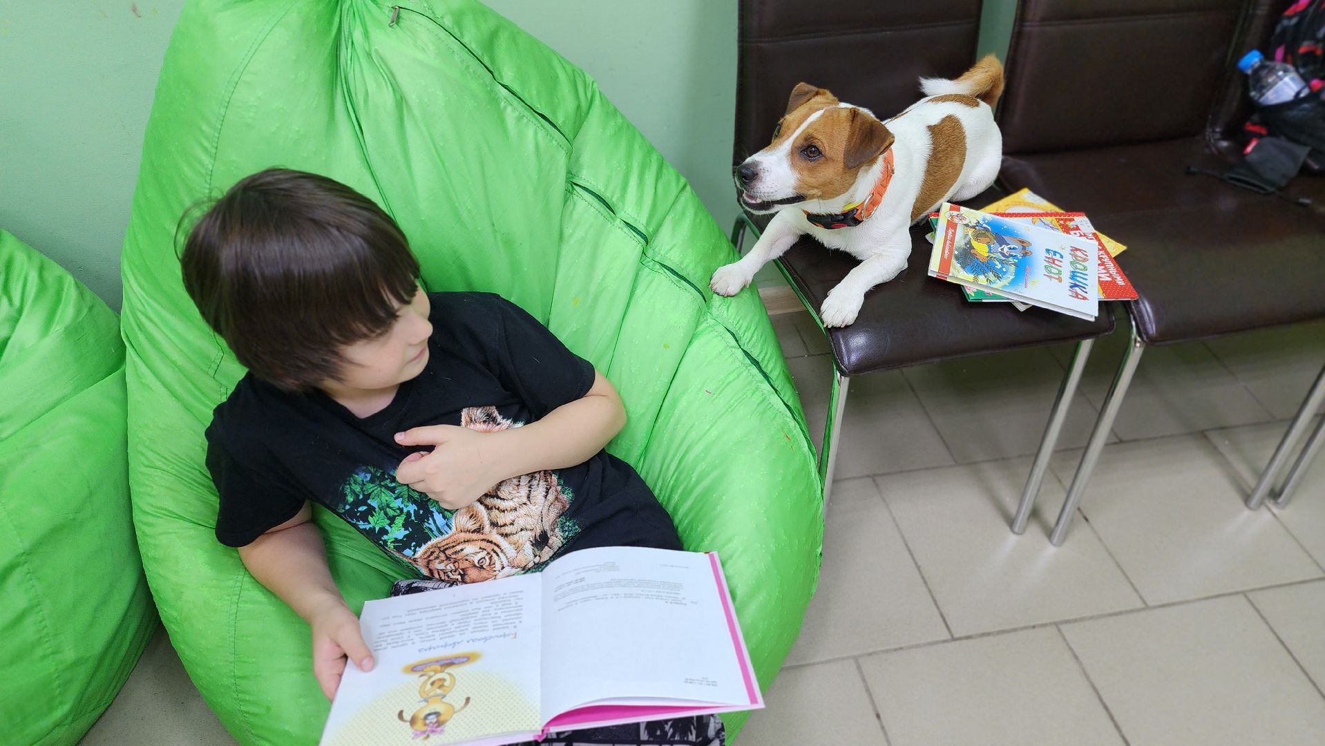 собака-терапевт, чтение, библиотека, Протвино, канистерапия