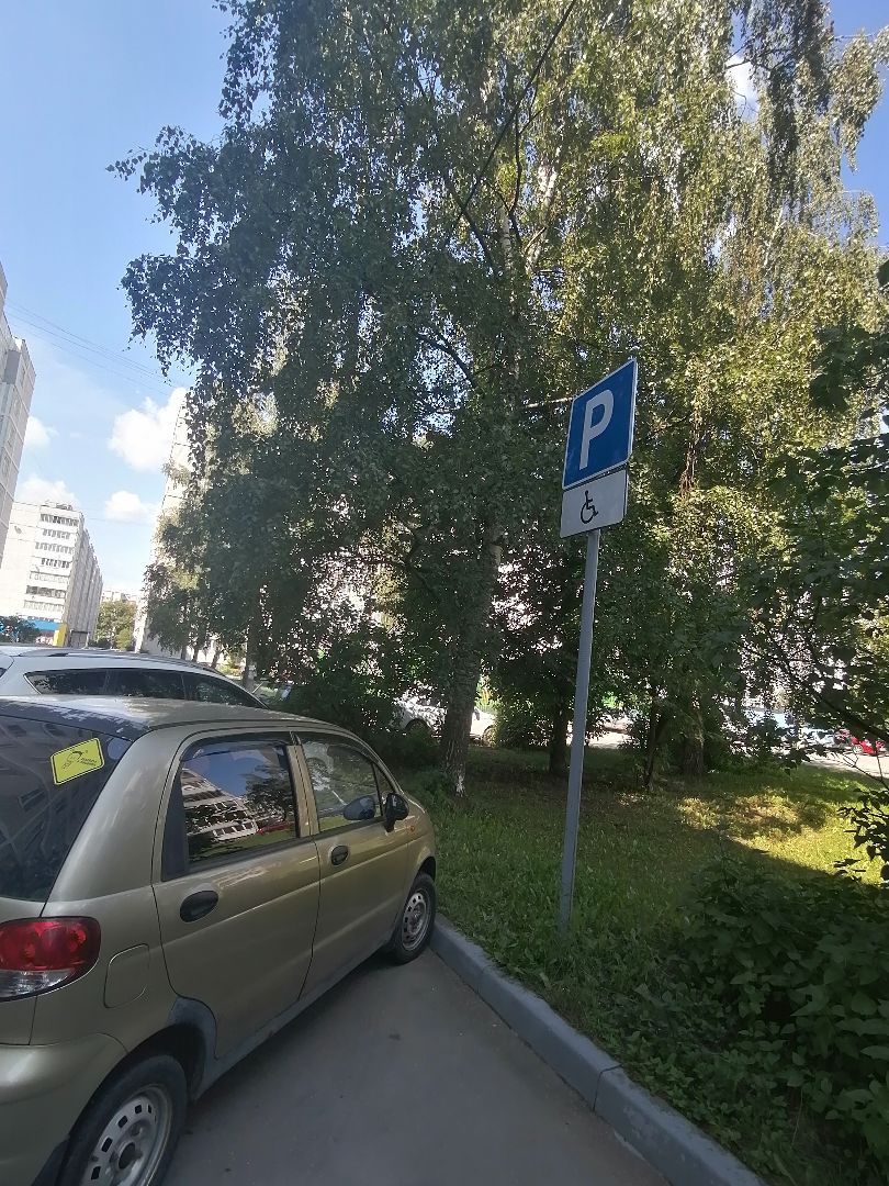 парковкадляинвалидов