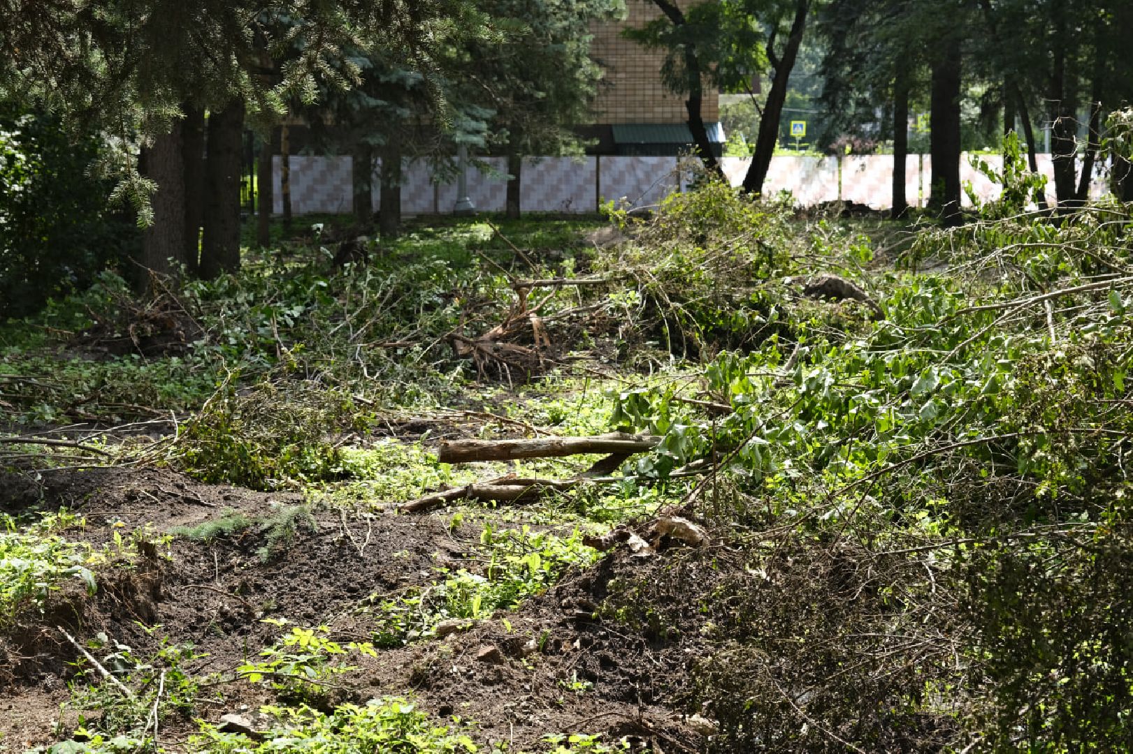 Пущино, благоустройство