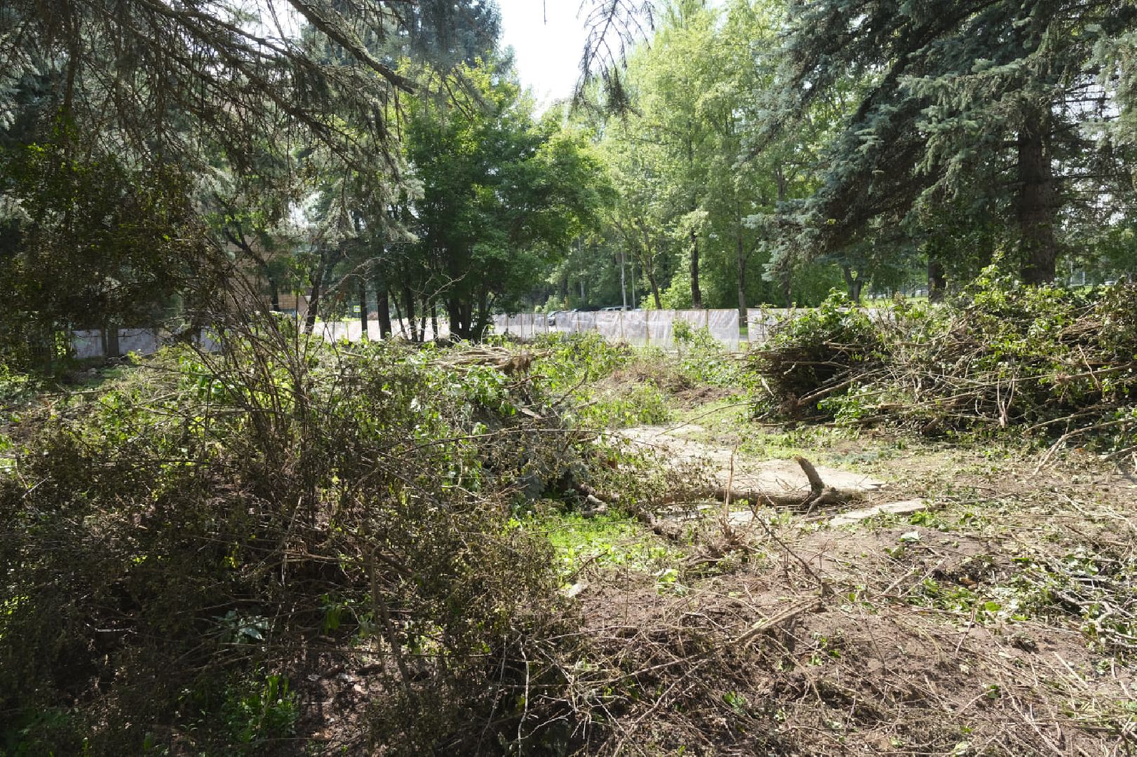 Пущино, благоустройство