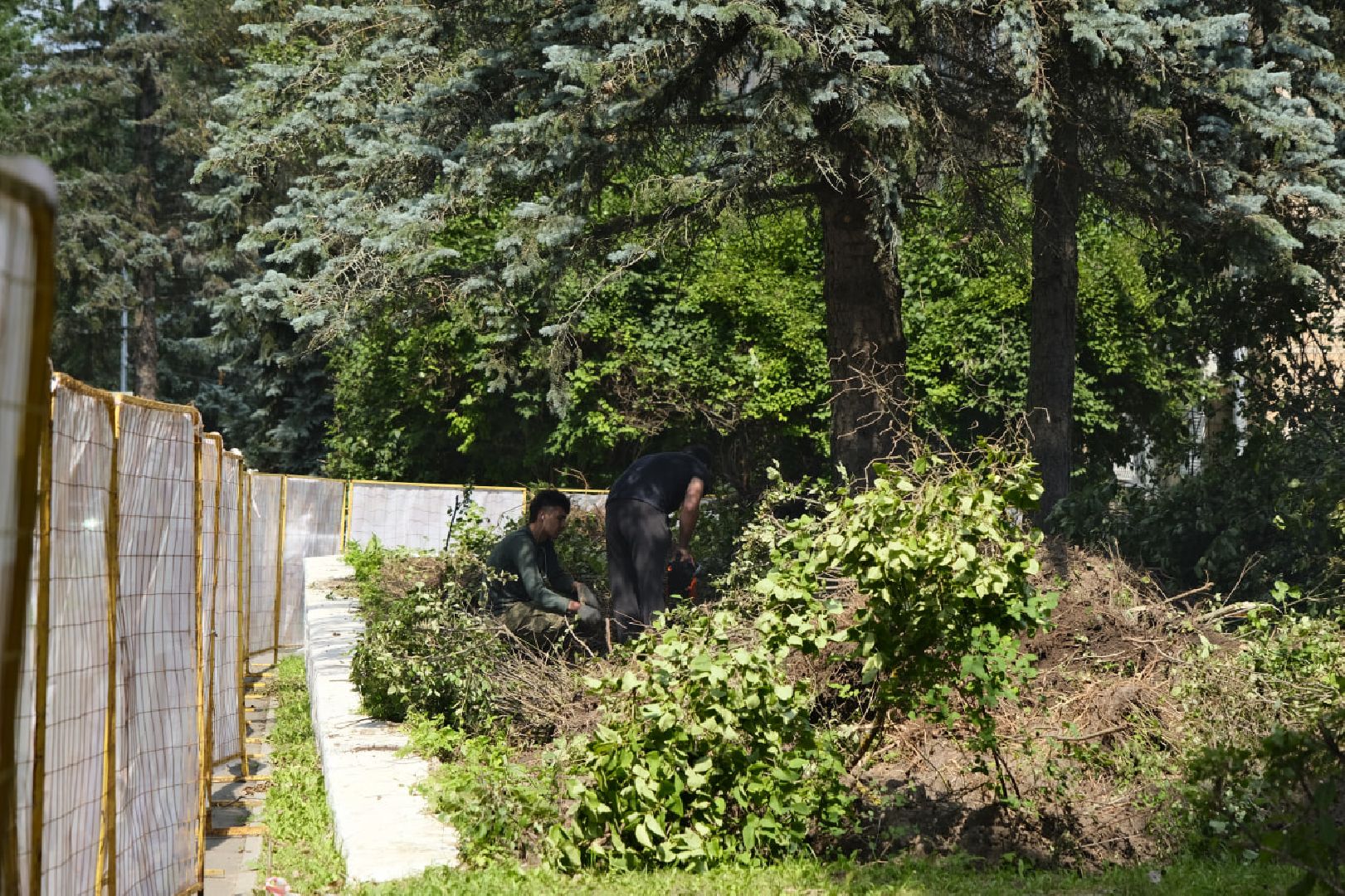 Пущино, благоустройство