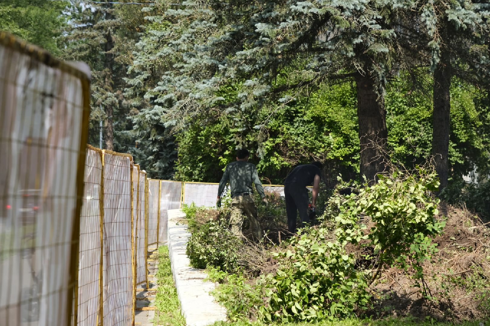 Пущино, благоустройство