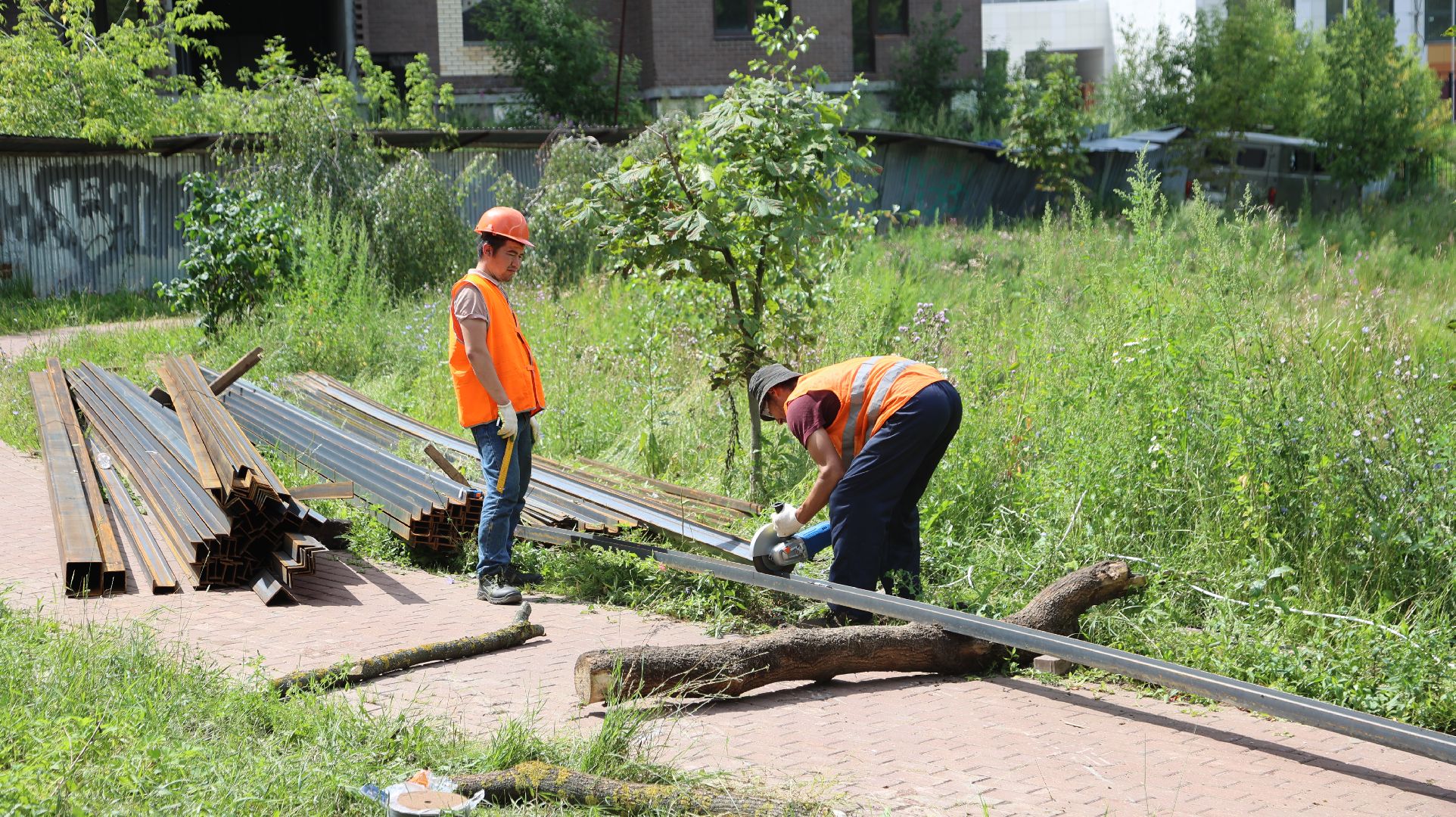 благоустройство, программа губернатора, озеро, Щёлково