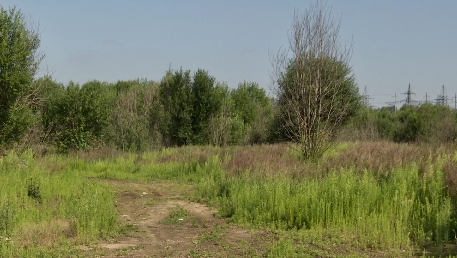 Клин, благоустройство, перемены, общество