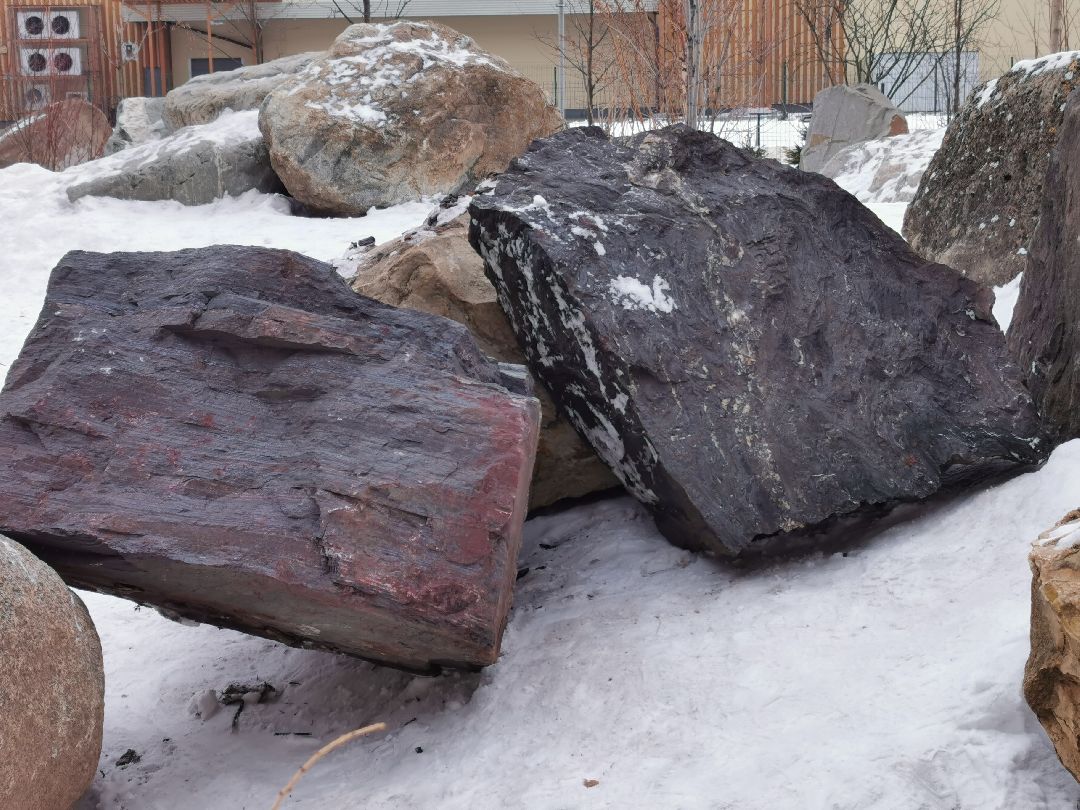 Подольск, общество
