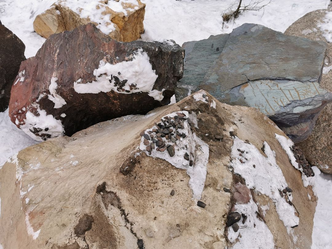 Подольск, общество