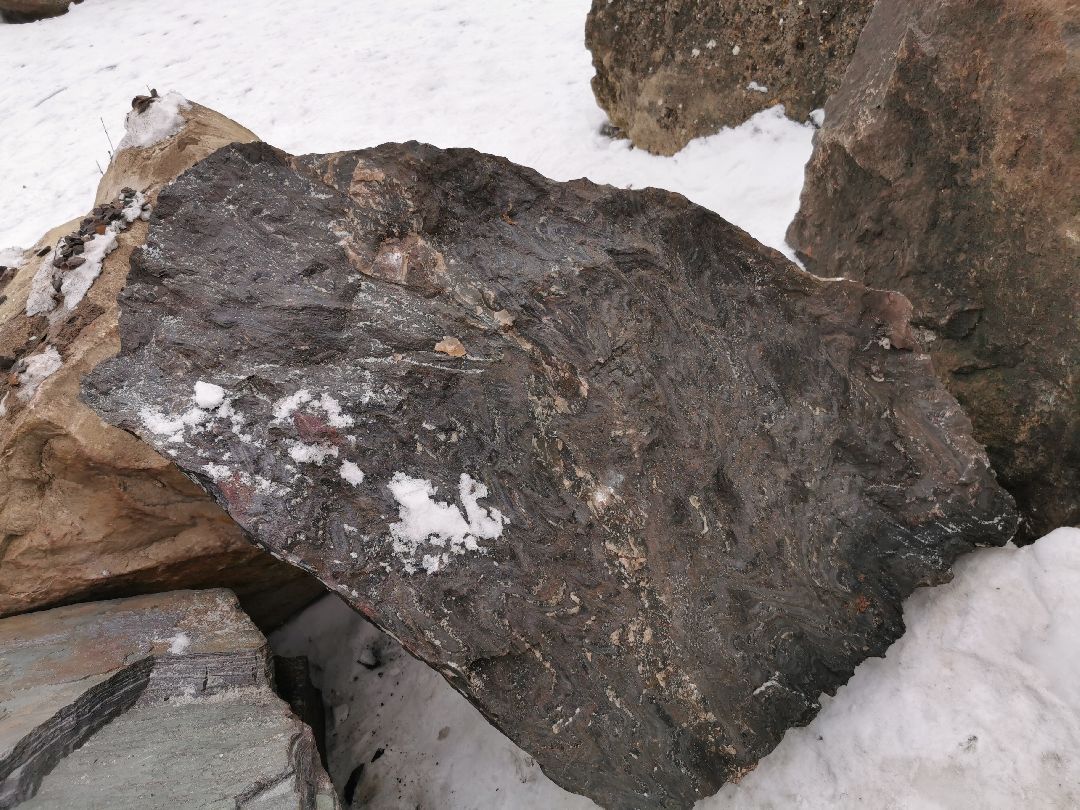 Подольск, общество