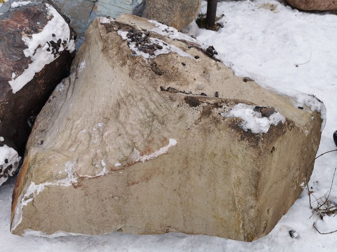 Подольск, общество