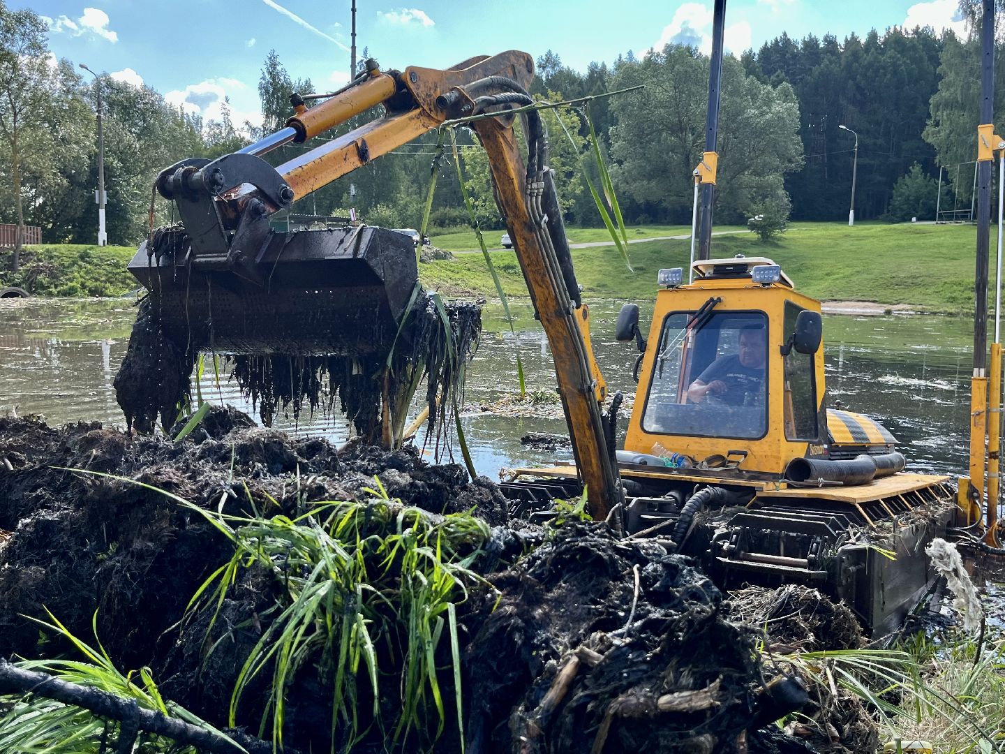 Наро-Фоминск, пруд, экология, 100 прудов и озёр, Подмосковье, Андрей Воробьёв