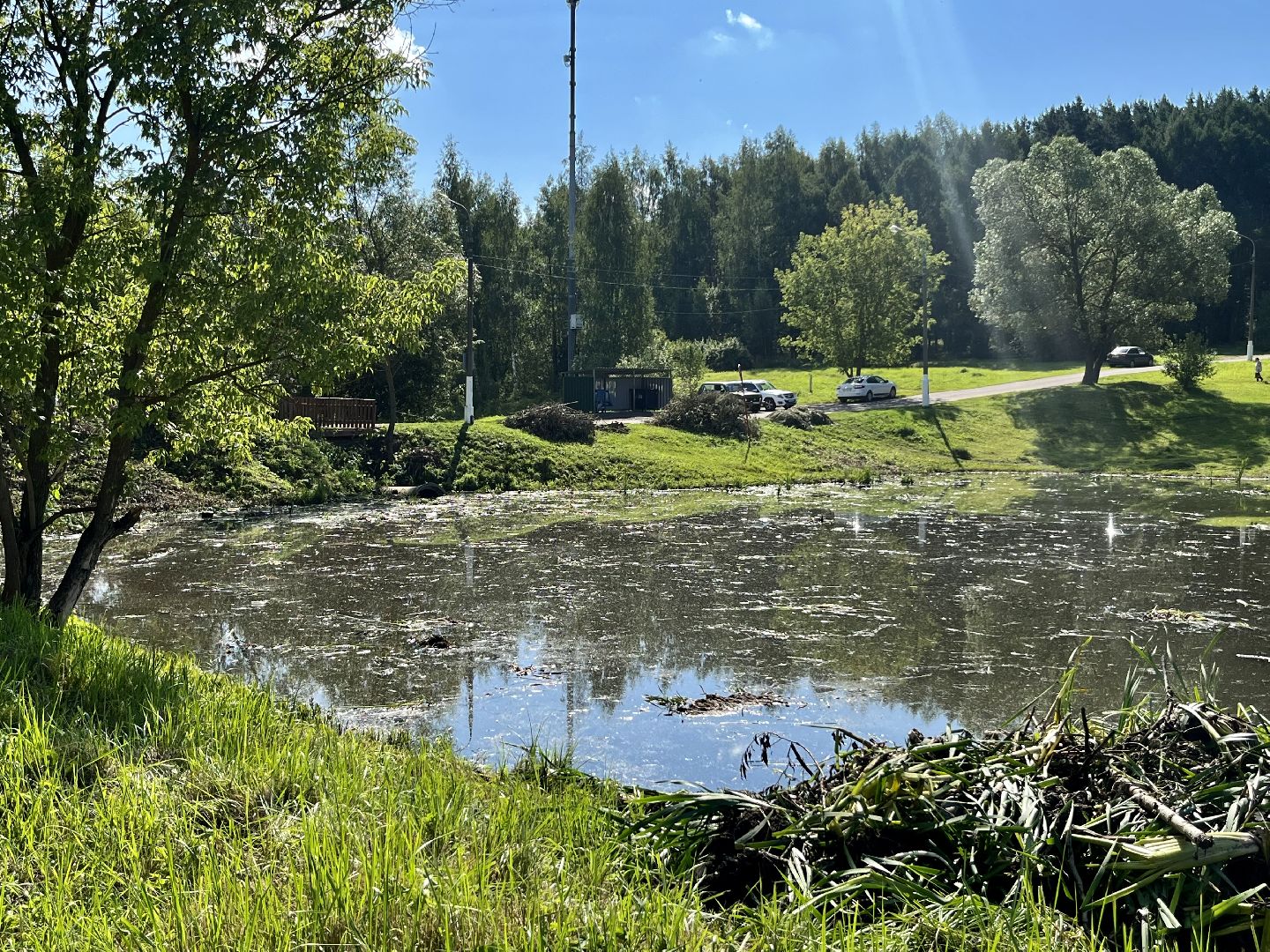 Наро-Фоминск, пруд, экология, 100 прудов и озёр, Подмосковье, Андрей Воробьёв