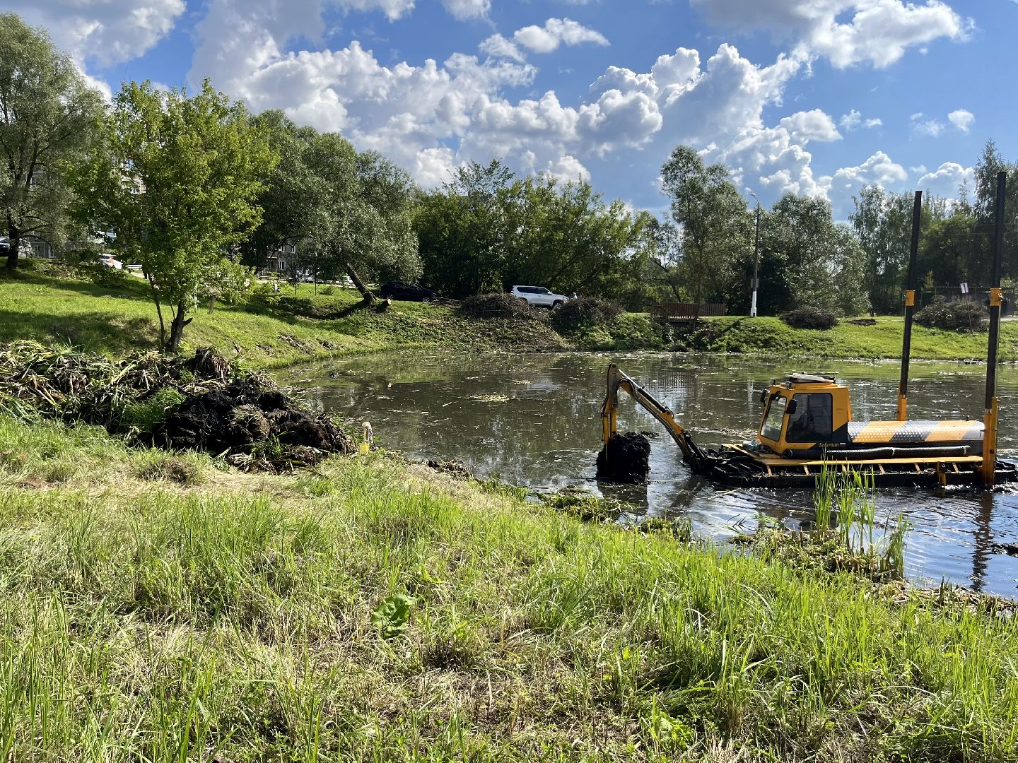 Наро-Фоминск, пруд, экология, 100 прудов и озёр, Подмосковье, Андрей Воробьёв