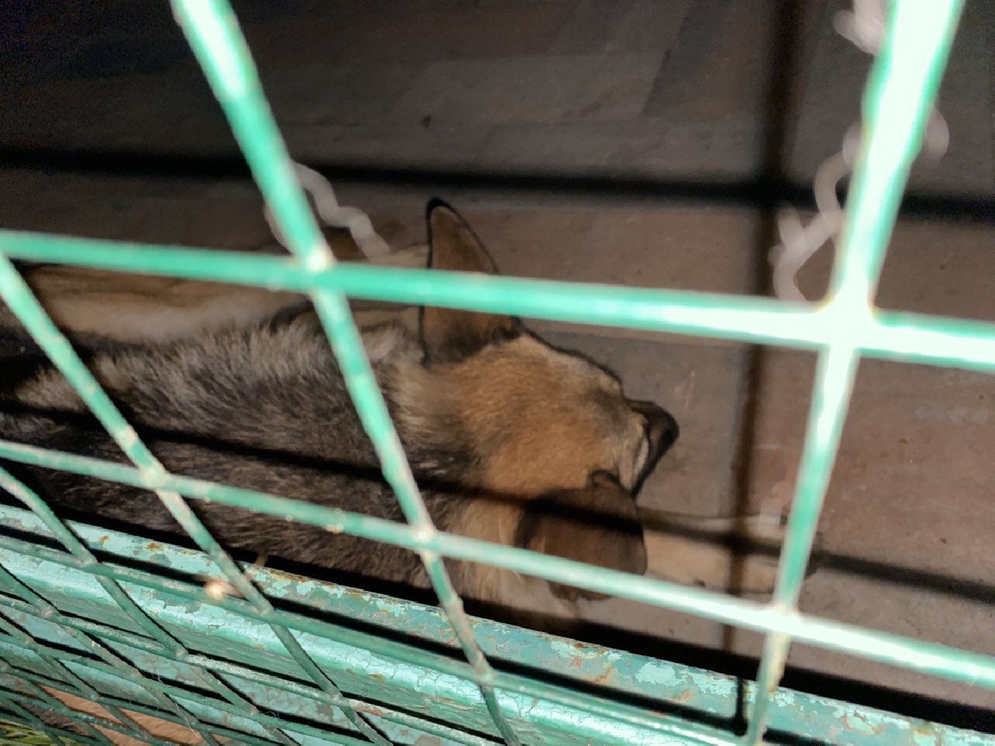 Балашиха, спасатели, нет света