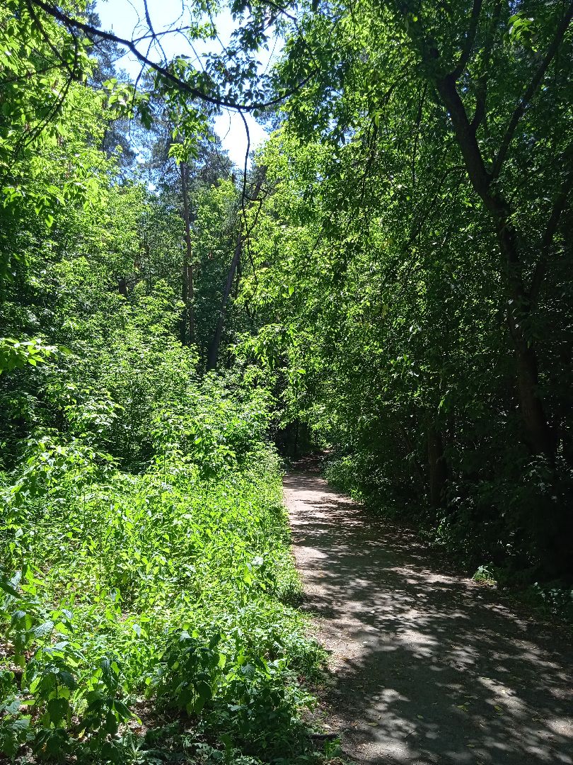 клещи, Жуковский, Чапкевич, ГКБ, боррелиоз, энцефалит