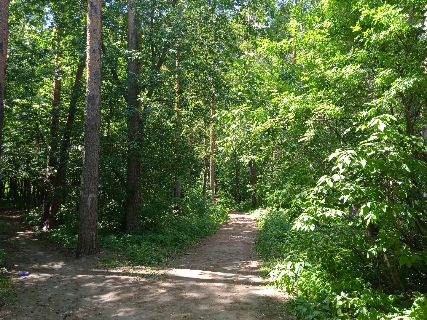 клещи, Жуковский, Чапкевич, ГКБ, боррелиоз, энцефалит