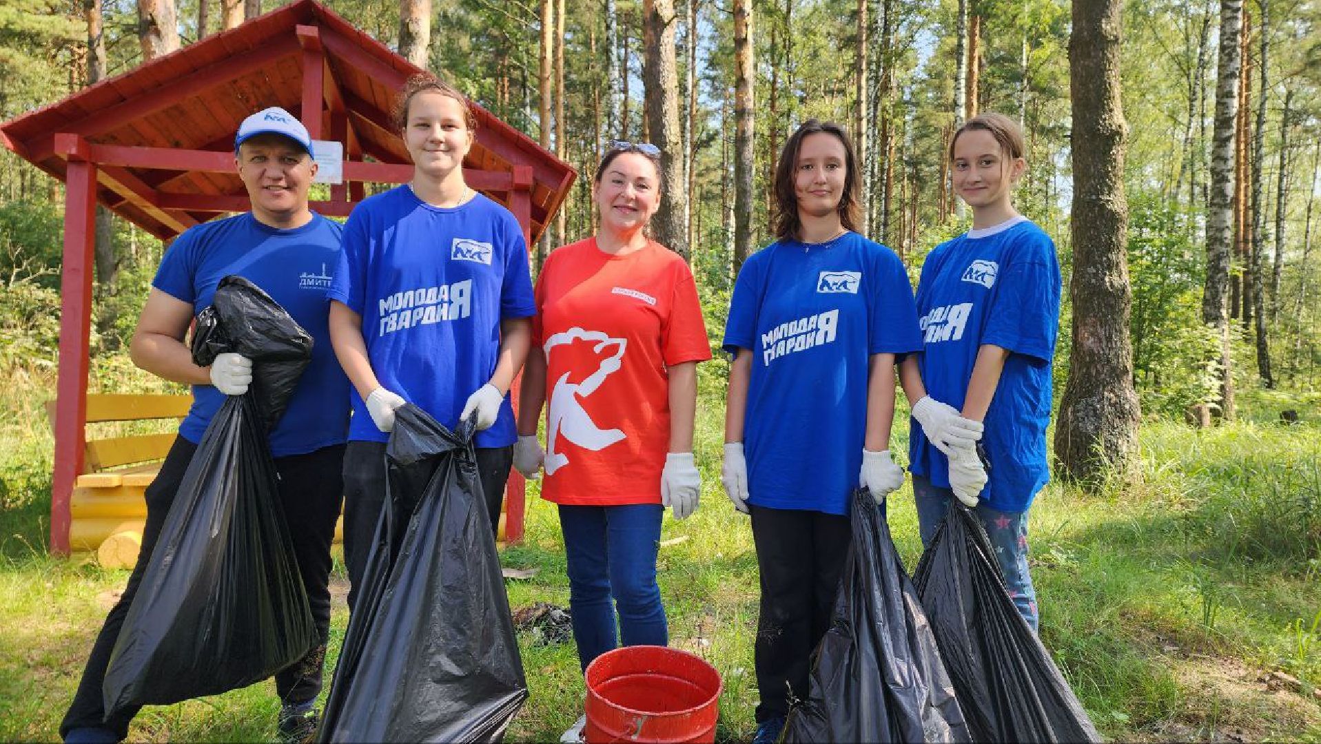 Дмитров, Акция Чистый лес, Мособлдума