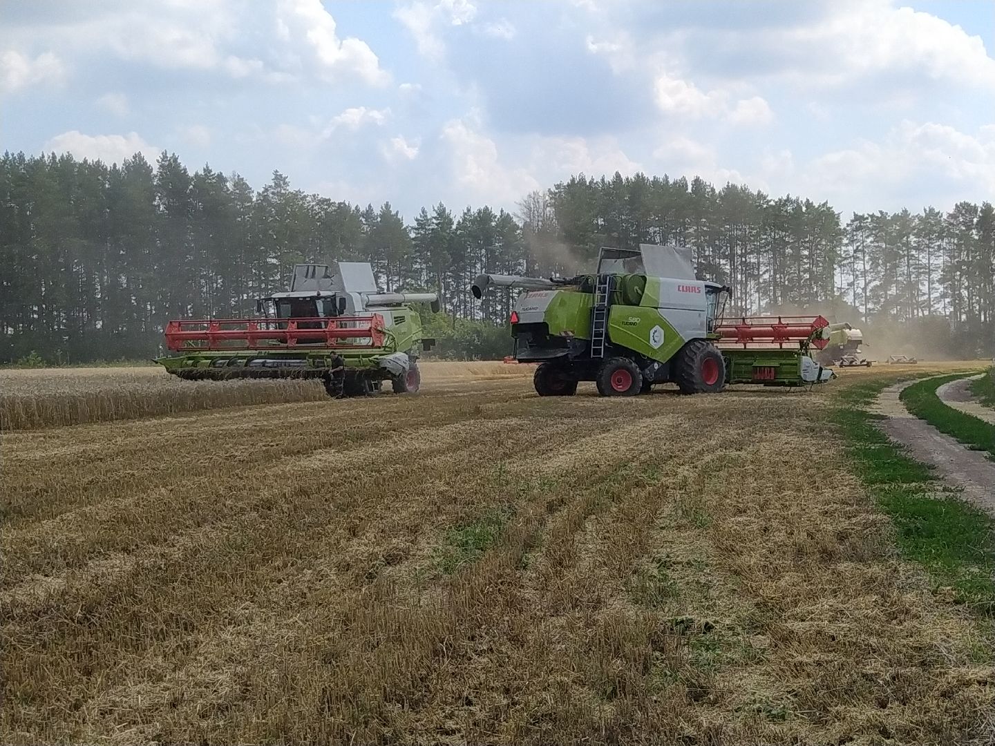 Луховицы, Сельское хозяйство