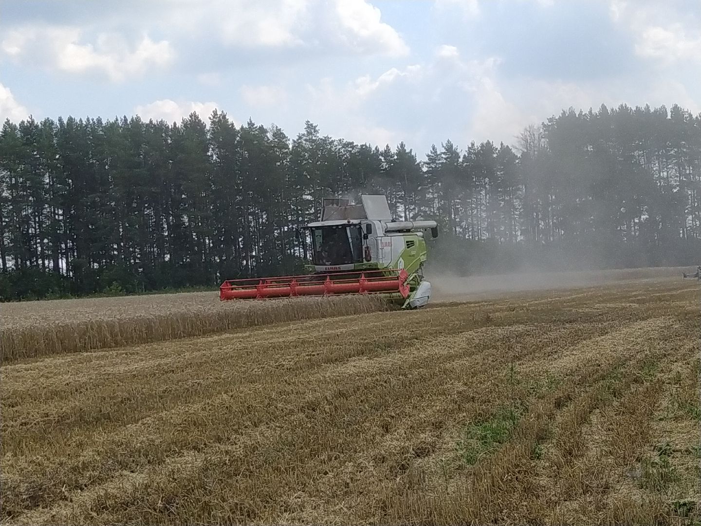 Луховицы, Сельское хозяйство