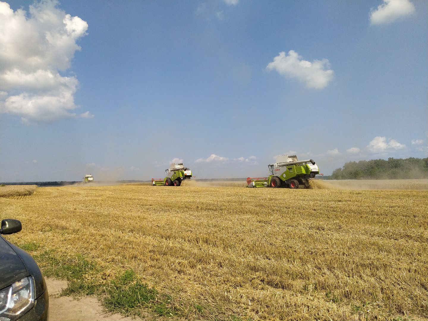 Луховицы, Сельское хозяйство