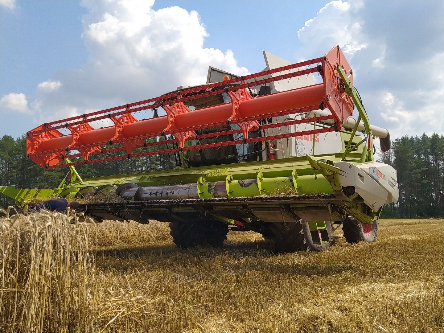 Луховицы, Сельское хозяйство