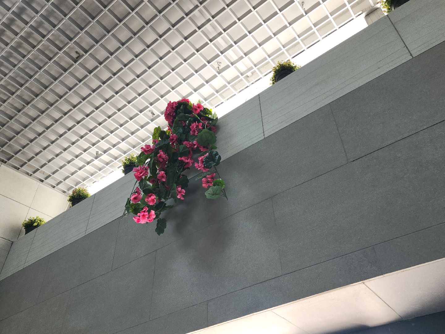 жкх; видное; ремонт; победа; жилищная политика