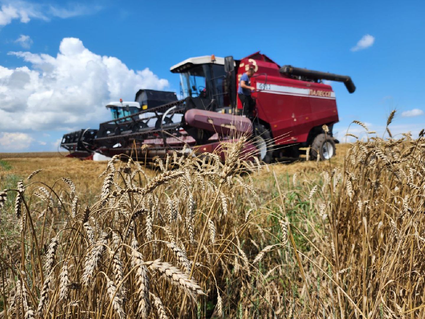Серебряные Пруды, Праздник первого снопа, сельское хозяйство