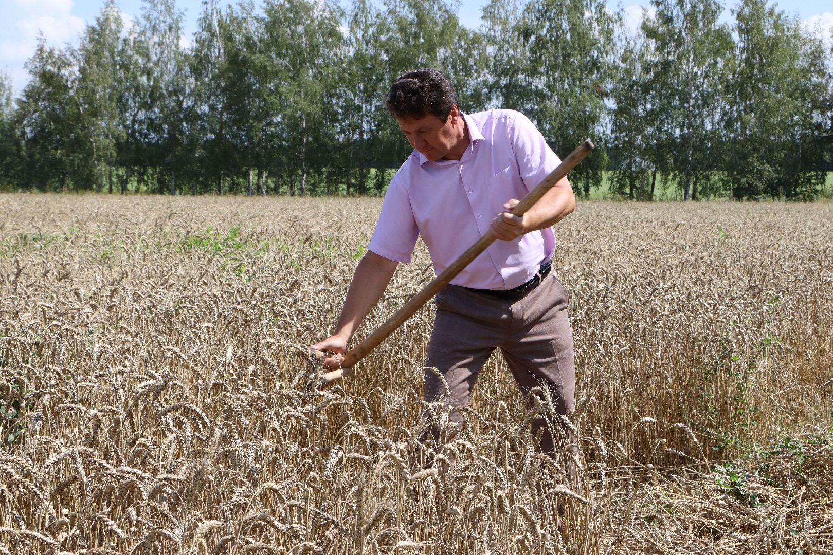 Серебряные Пруды, Праздник первого снопа, сельское хозяйство
