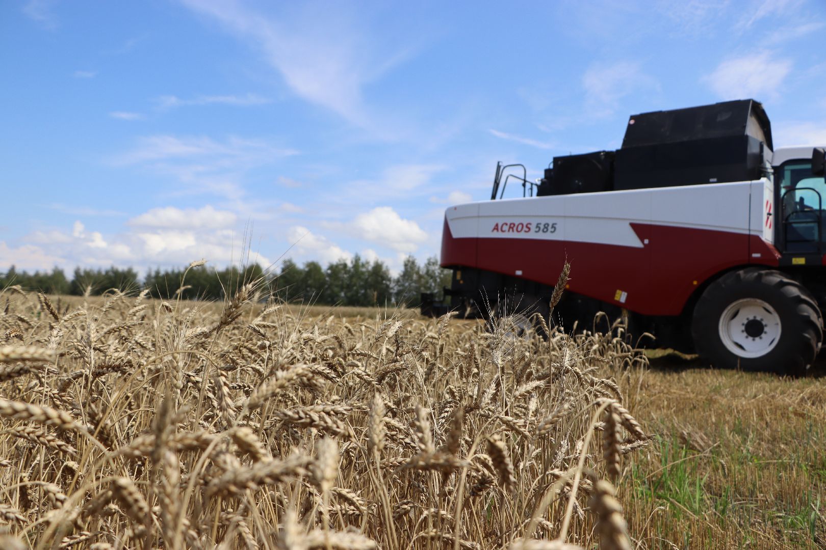 Серебряные Пруды, Праздник первого снопа, сельское хозяйство
