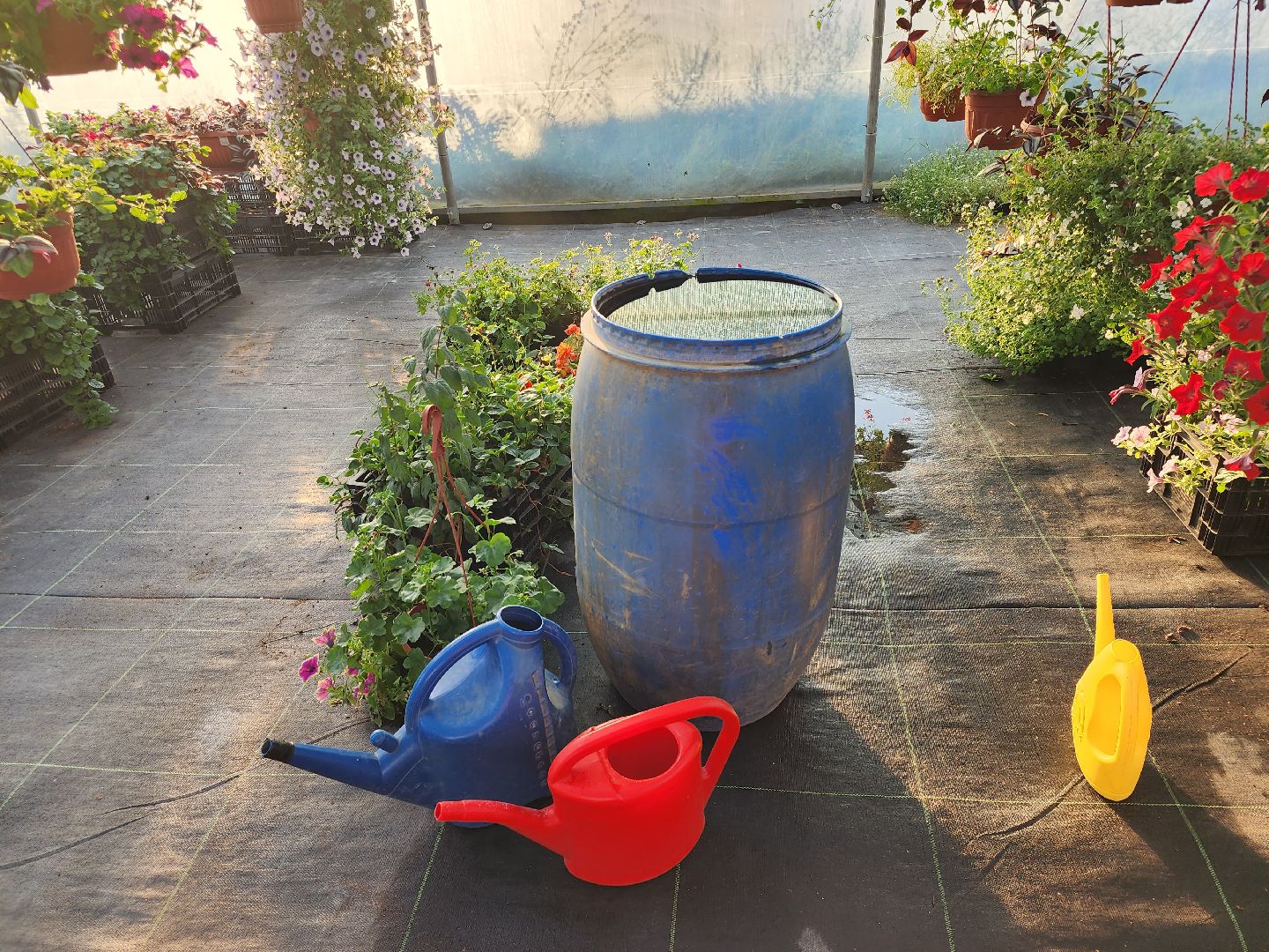 Звенигород, туризм, гастрономический фестиваль, фермерство, сельское хозяйство, цветы