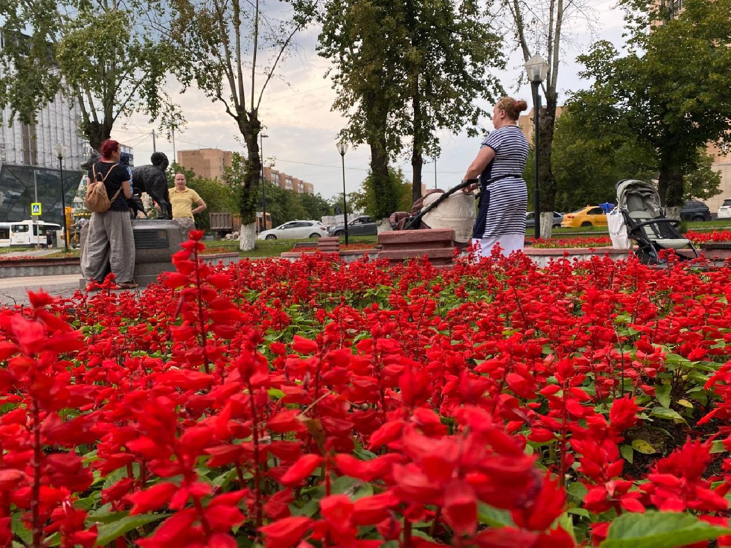 Балашиха, Бульвар Цветов, благоустройство, МЦД-4