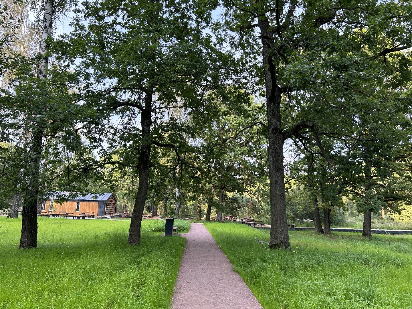 благоустройство, лесопарк, Фрязино, площадки, дети