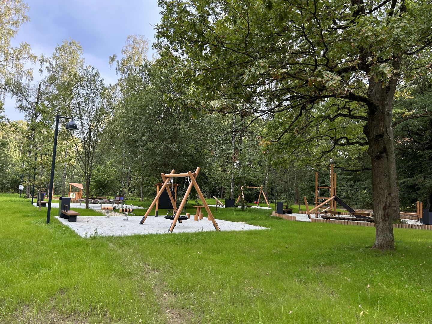 благоустройство, лесопарк, Фрязино, площадки, дети