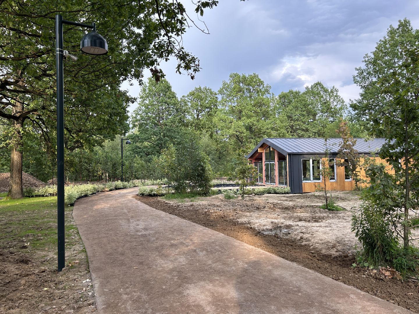 благоустройство, лесопарк, Фрязино, площадки, дети